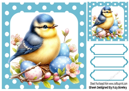 Pretty Bird in Polkadot 8X8 Frame (TWO)