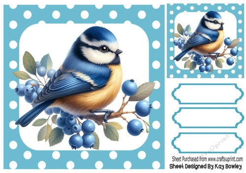 Pretty Bird in Polkadot 8X8 Frame (THREE)