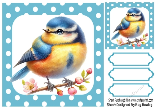 Pretty Bird in Polkadot 8X8 Frame (FOUR)