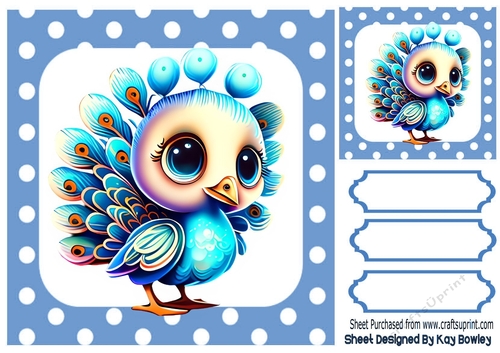 Pretty Baby Peacock in Polkadot 8X8 Frame (THREE)