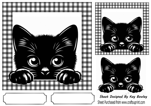 Black/White 7X7 Frame With Black Peeking Cat (ONE)