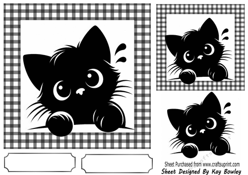 Black/White 7X7 Frame With Black Peeking Cat (TWO)