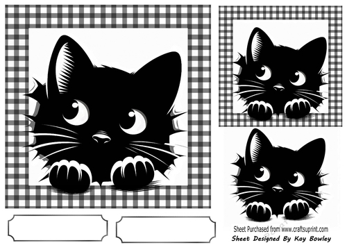 Black/White 7X7 Frame With Black Peeking Cat (THREE)