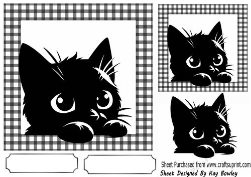 Black/White 7X7 Frame With Black Peeking Cat (FOUR)