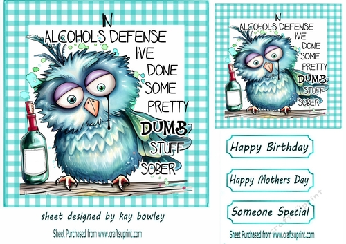 Cheeky Bird With Funny Caption TURQ 7x7 Frame (TWO)