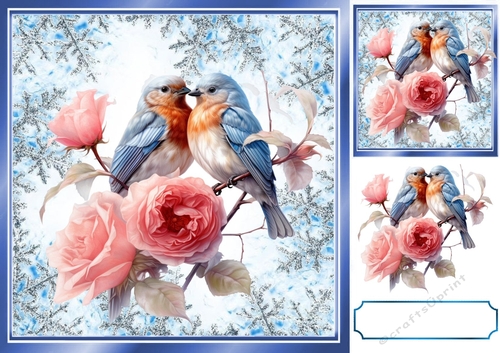 Pretty Winter Robins With Pink Roses Blue Snowflake 8x8