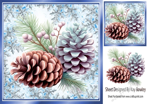 Pretty Pine Winter Cones Blue Snowflake 8X8 Frame