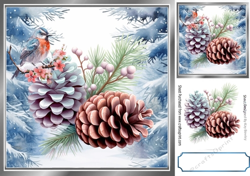 Pretty Pine Cones With Robin  Blue Winter 8X8 Frame