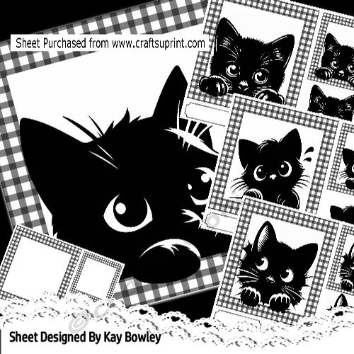 4 Lovely Black Cats In Gingham 7x7 Frames Cards Mini Kit