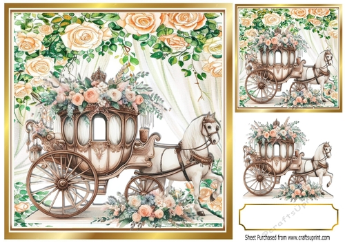 Beautiful Wedding Horse & Carriage With Peach Roses 8x8
