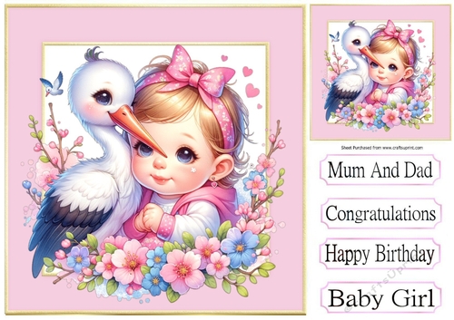 Sweet Baby Girl With Stork In 8X8 Pink/Gold Frames