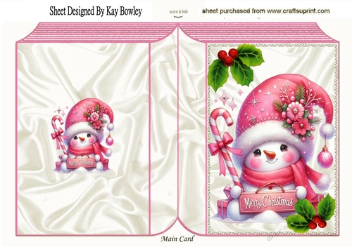 Lovely Pink Snowman In Folded Book (ONE)
