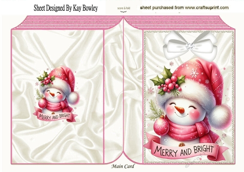 Lovely Pink Snowman In Folded Book (FOUR)