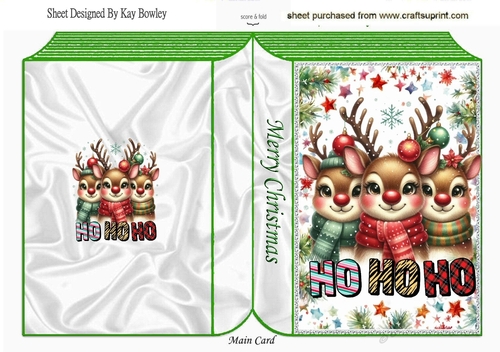 Christmas Festive Folded Book With Reindeers (ONE)