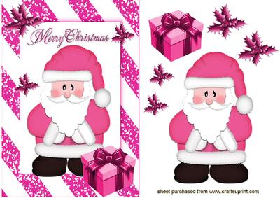 Lovely Santa with His Present for You