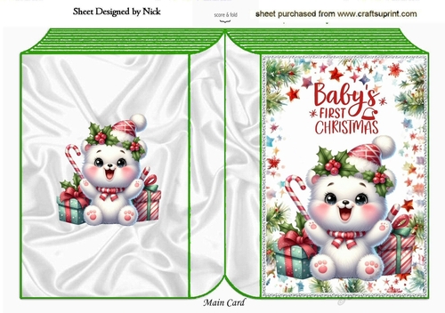 Cute Baby Polar Bear (BABYS FIRST) Folded Book (ONE)