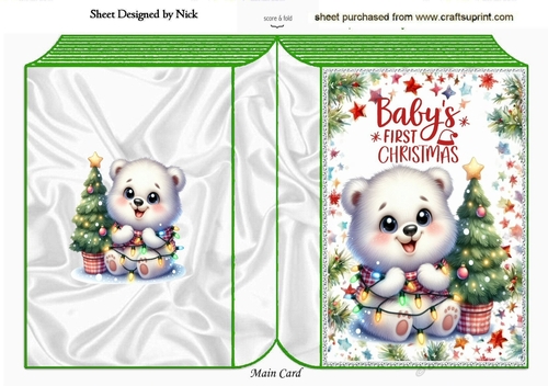 Cute Baby Polar Bear (BABYS FIRST) Folded Book (TWO)