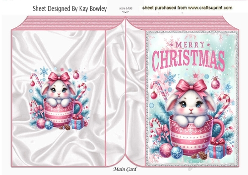 Lovely Christmas Bunny Folded Book  (SIX)