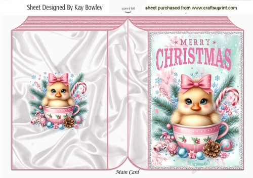 Lovely Christmas Chick Folded Book  (SEVEN)
