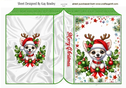 Cute Puppy With Christmas Holly Folded Book (FIVE)