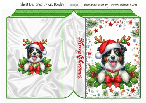 Cute Border Collie Puppy With Christmas Holly Folded Book (SEVEN)