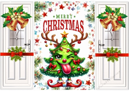 Funny Face Christmas Folded Gatefold (ONE)