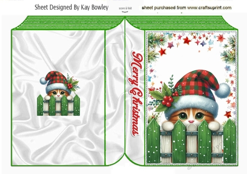 Cute Peeking Kitten Looking Over Fence Christmas Book (ONE)