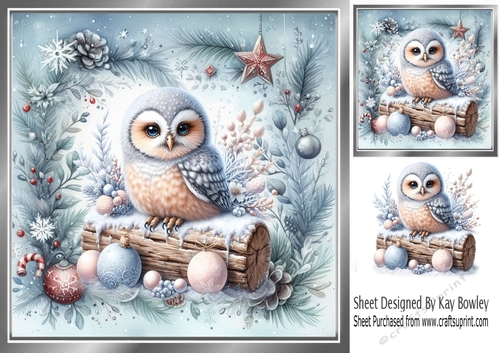 Pretty Snow Owl In Festive 8x8 Frame (ONE)