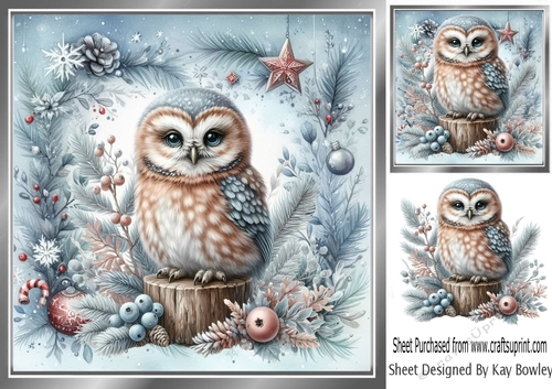 Pretty Snow Owl In Festive 8x8 Frame (TWO)