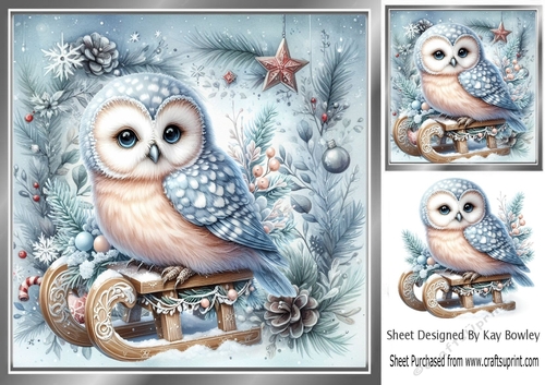 Pretty Snow Owl In Festive 8x8 Frame (THREE)