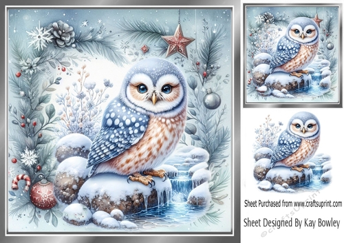 Pretty Snow Owl In Festive 8x8 Frame (FOUR)