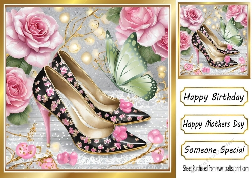 Pretty Pink Roses With Butterfly And Pink/Black Shoes 8X8