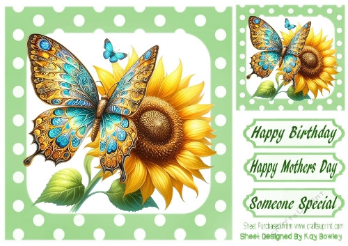 Pretty Butterfly With Flowers Polkadot 8x8 Frame (TWO)