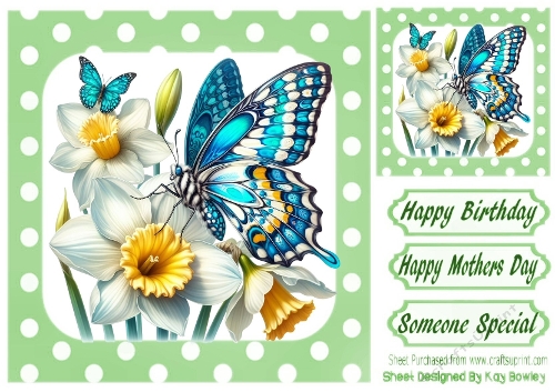 Pretty Butterfly With Flowers Polkadot 8x8 Frame (FOUR)