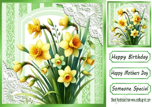 SPRING IS HERE! Pretty Daffodils With Lace 8x8