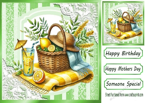 SPRING TIME! Picnic With Lace 8x8  (ONE)