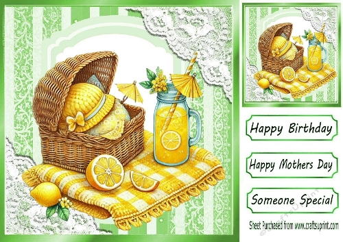 SPRING TIME! Picnic With Lace 8x8  (TWO)