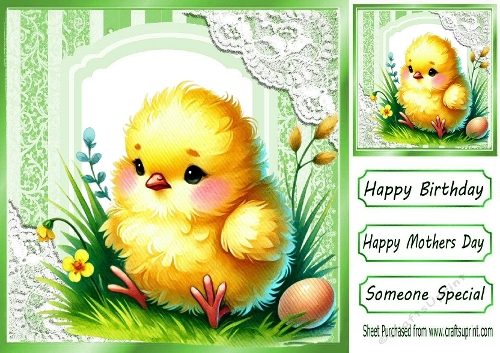 SPRING TIME! Yellow Chick With Lace 8x8  (ONE)