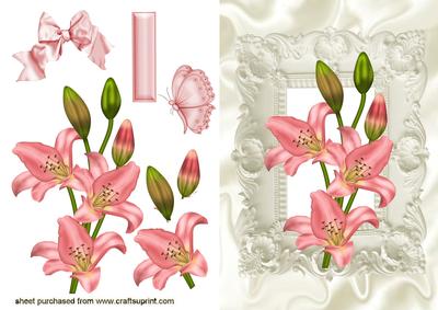 Beautiful Salmon Pink Lillies