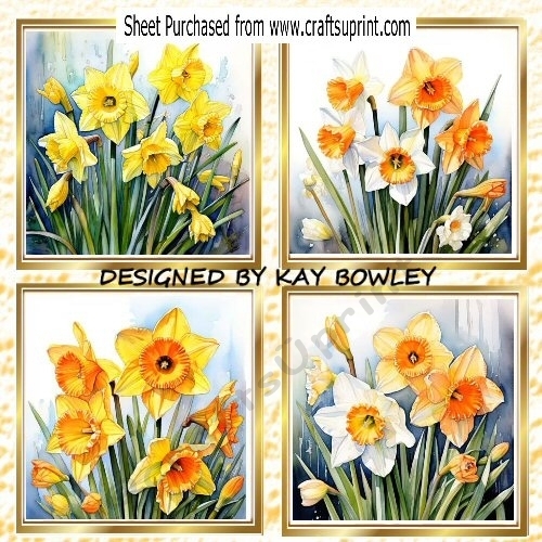 4 Pretty Yellow And White Spring Daffodils  8x8 Card Fronts Mini Kit