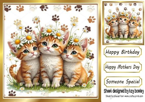 Cute Three Kittens With Daisies 8x8 (THREE)