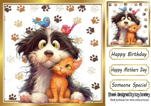 Funny Faces Cute Cat And Dog 8x8 Card Front (ONE)