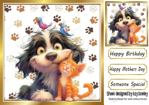 Funny Faces Cute Cat And Dog 8x8 Card Front (TWO)