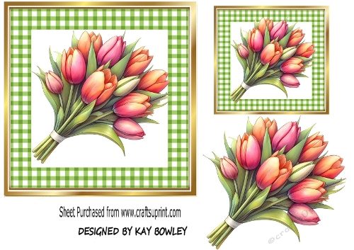Pretty Rainbow Tulips In 7X7 Green Gingham Frame (TWO)