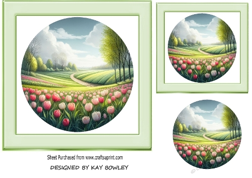 Pretty Tulips In A Meadow 7x7 Card Front