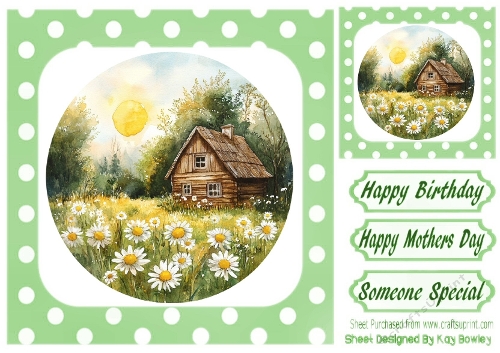 Pretty Field Of Daisies, With A Cottage 8x8 Green Polkadot Frame