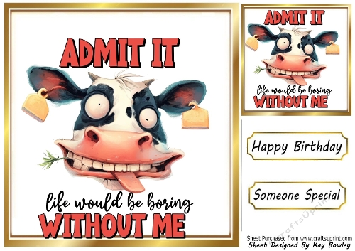 Funny 8X8 Topper With Humour Caption (TWELVE)