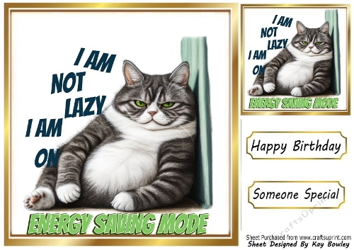 Funny 8X8 Topper With Humour Caption (FIFTEEN)