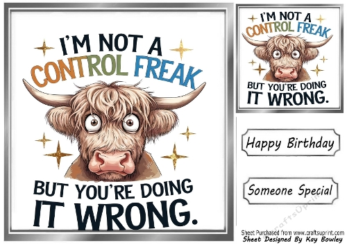 Funny 8X8 Topper With Humour Caption (SILVER ONE)