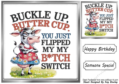 Funny 8X8 Topper With Humour Caption (SILVER THREE)